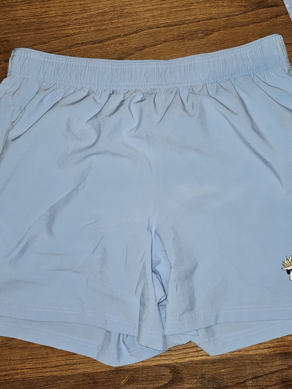Men's Light Blue Athletic Performance Shorts